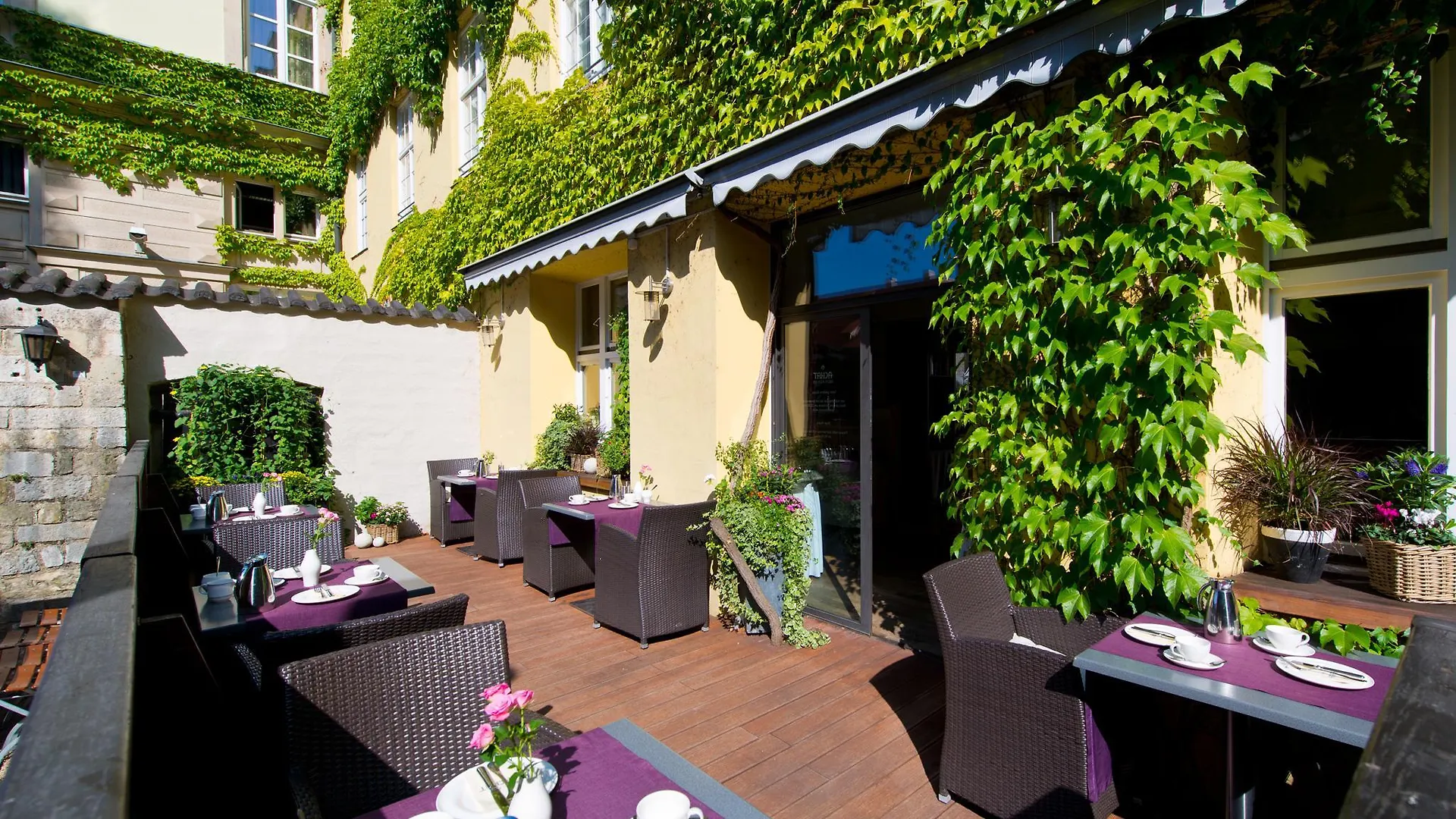 Herzogshof - Boutique-Hotel Am Dom Regensburg Hotell