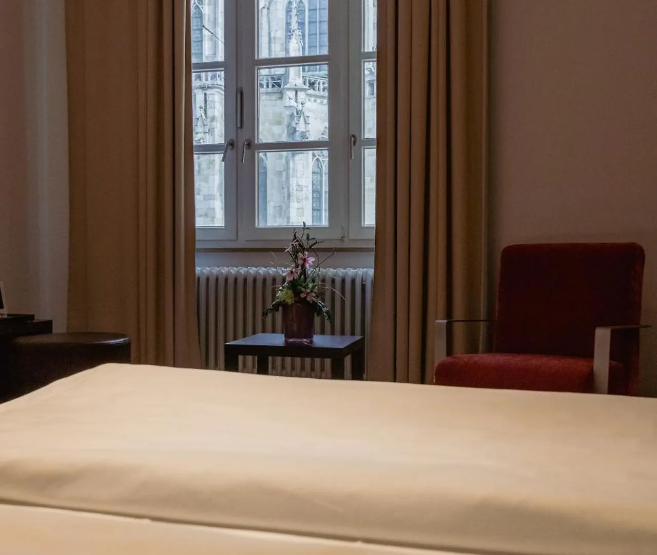 Herzogshof - Boutique-Hotel Am Dom Ratisbona Hotel